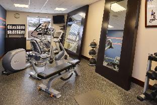 hampton inn alpine