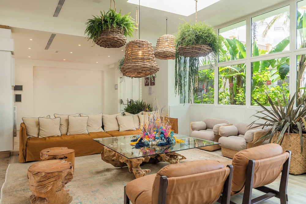 alua miami ibiza