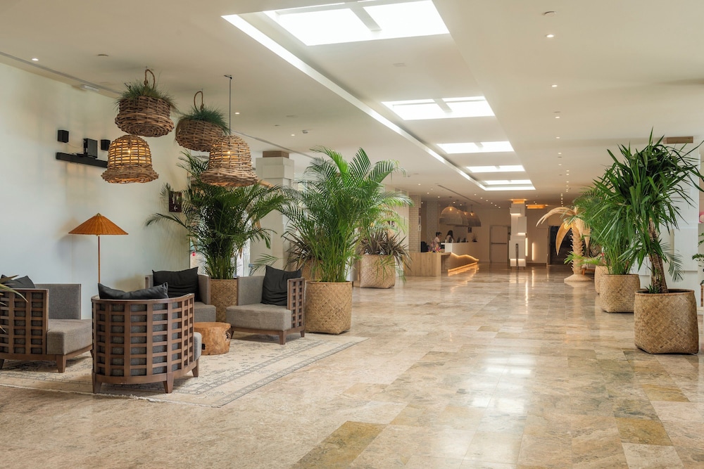 alua miami ibiza