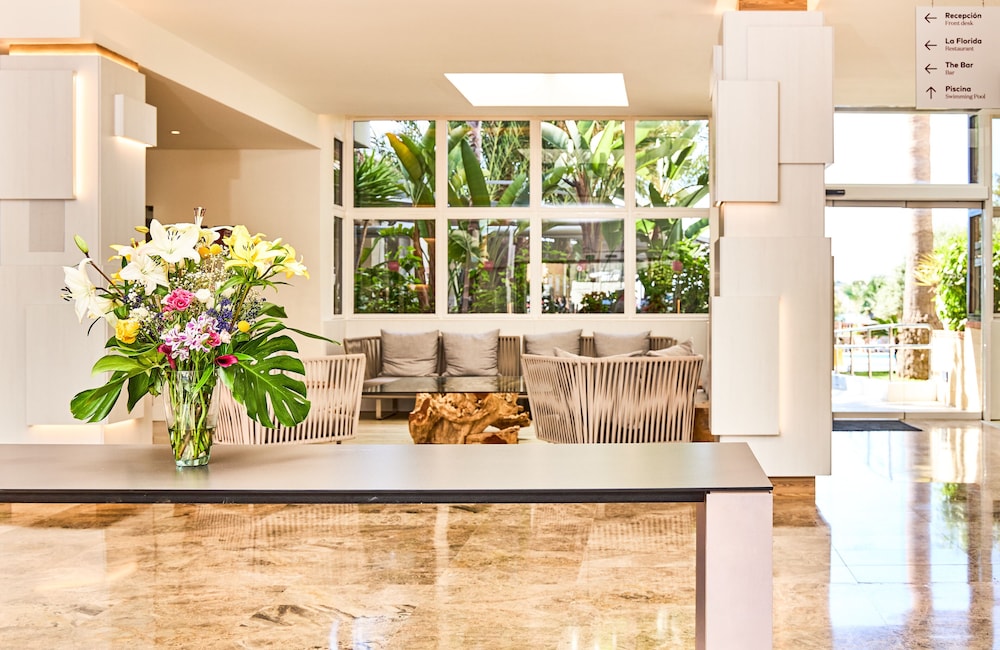 alua miami ibiza