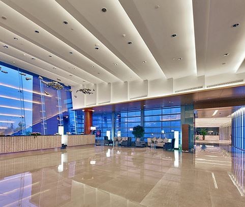 grand skylight international hotel guanlan