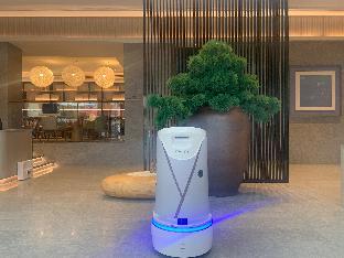 ji hotel weihai city government