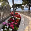 quinta funchal gardens adults only