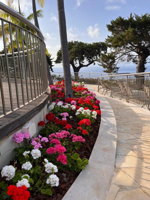 quinta funchal gardens adults only