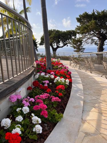 quinta funchal gardens adults only