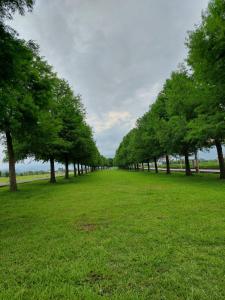 caspia home stay
