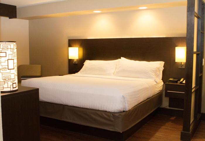 holiday inn express and suites san antonio medical six flags