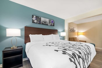 sleep inn and suites