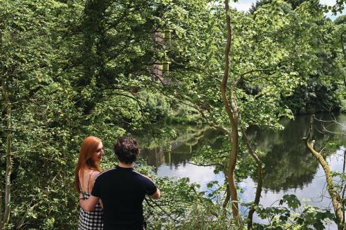 the rabbit hotel and retreat