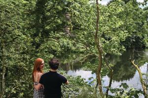 the rabbit hotel and retreat