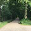 bed and breakfast tistrup