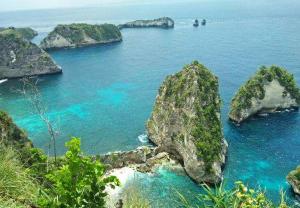 wk gamat garden by wizzela