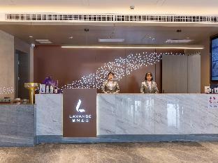 lavande hotel lingwu municipal government