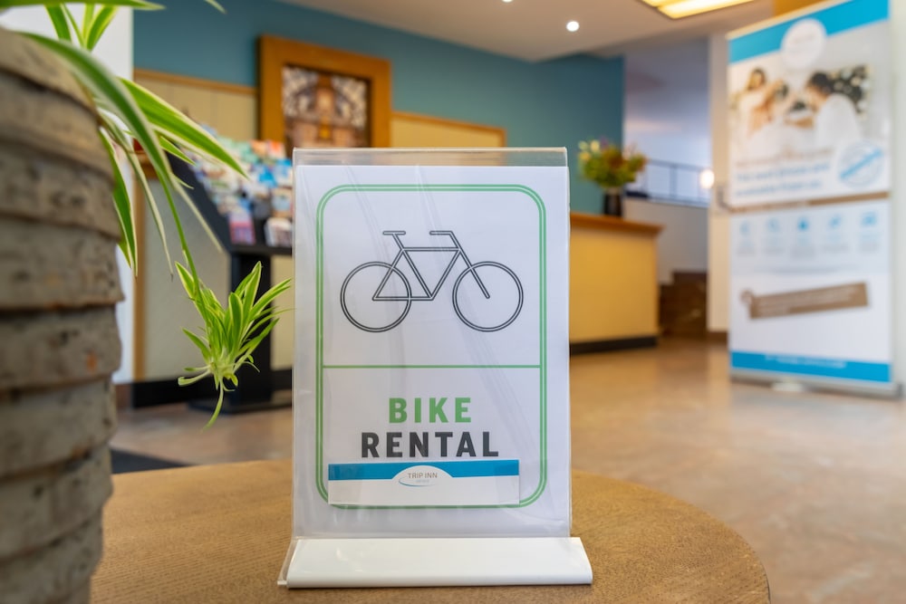 mondo eden antwerp formerly sandton eden antwerpen