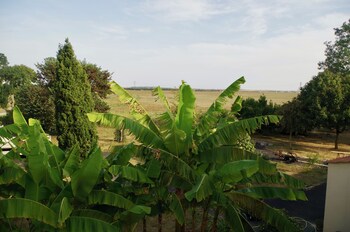 les trois cedres
