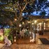 rabbit resort pattaya