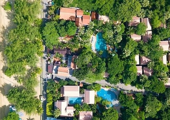 rabbit resort pattaya