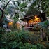 rabbit resort pattaya