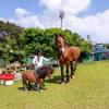 taean secret garden pension
