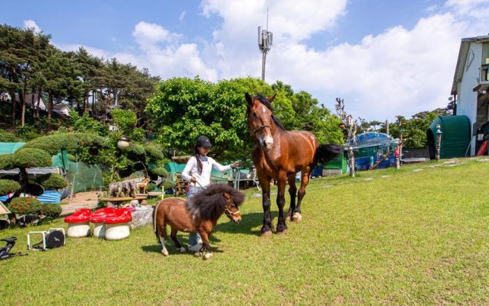 taean secret garden pension