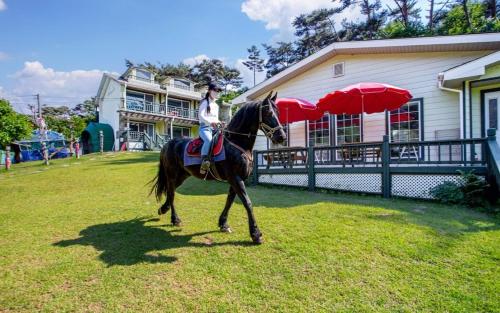 taean secret garden pension