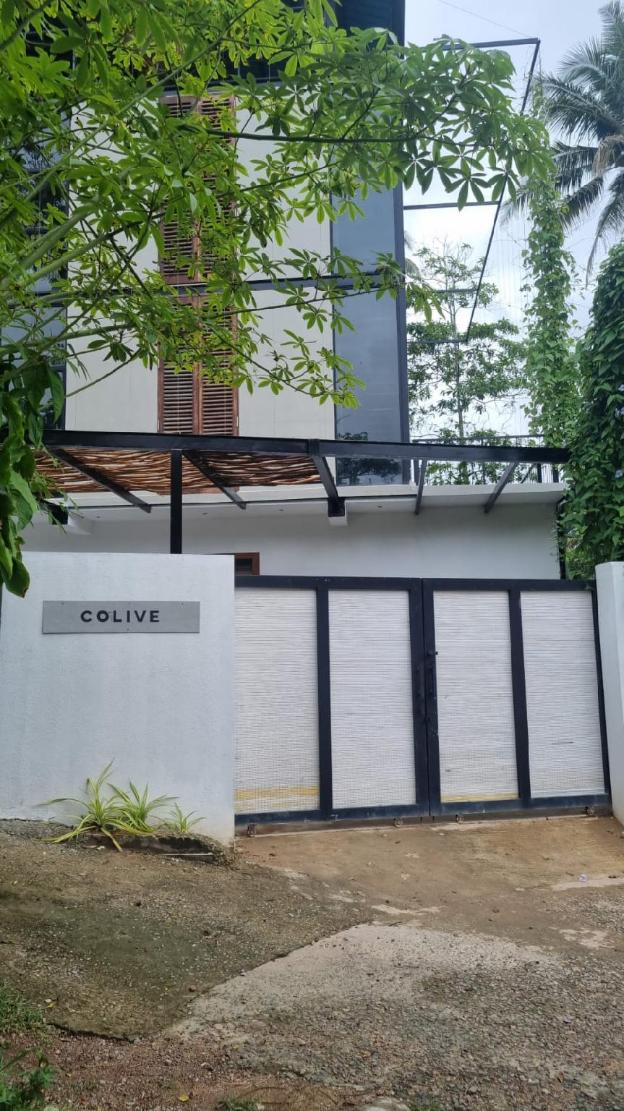 colive ahangama