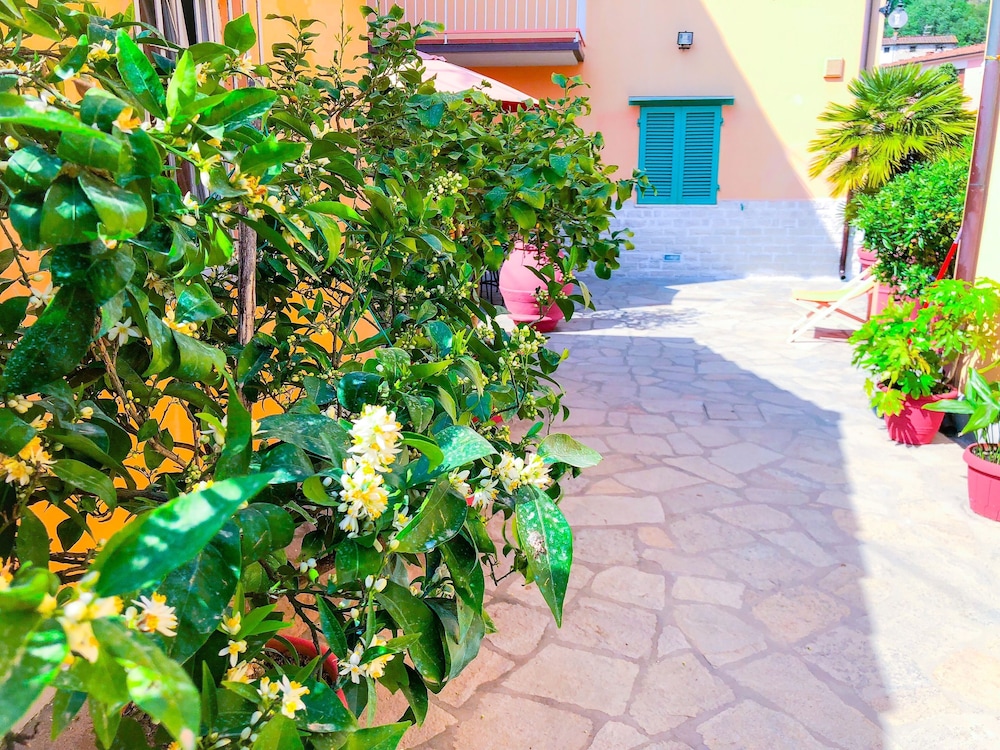 cuore di nozzano castello