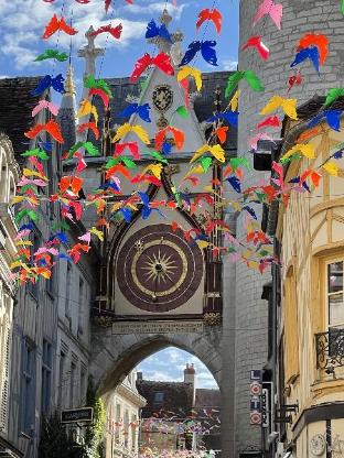 le pigeonnier centre historique auxerre