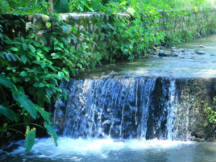 heartwood farms corbett