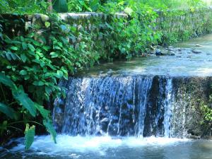 heartwood farms corbett