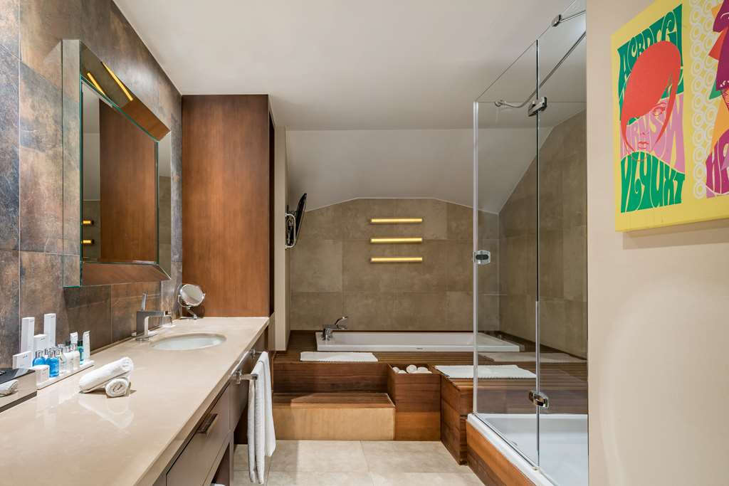 radisson blu bosphorus hotel istanbul