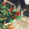 boutique family room phitsanulok