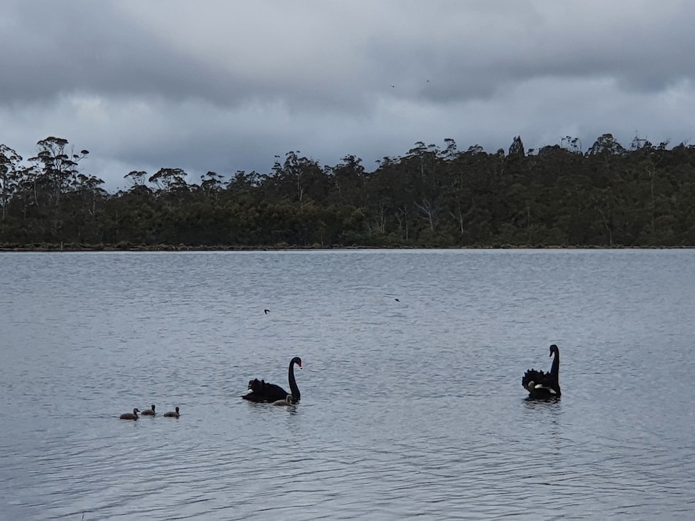 lake leake