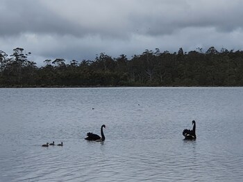 lake leake