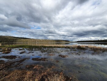 lake leake