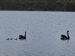 lake leake