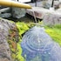 ishinoya