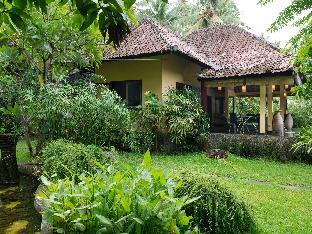 bali au naturel adults only