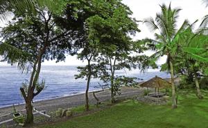 bali au naturel adults only