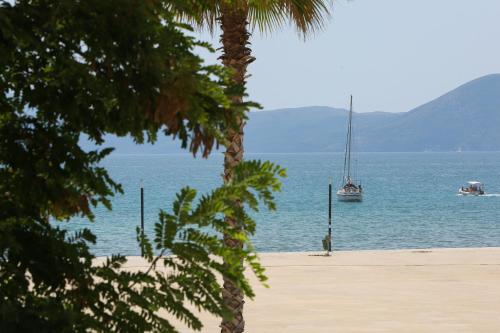 hotel brooklyn vlore