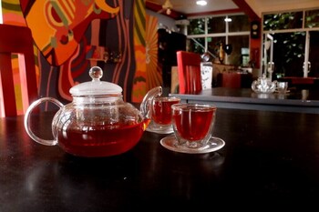 funk bunk tourist inn