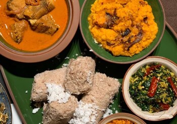 funk bunk tourist inn