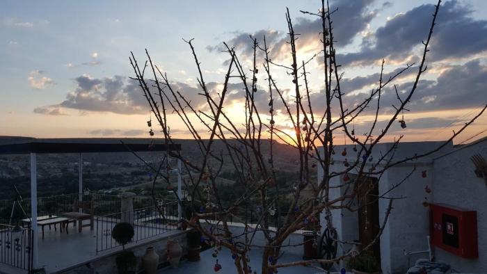 lavender cave hotel