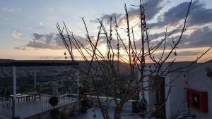lavender cave hotel