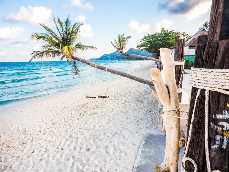 the samui beach resort