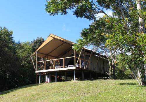 silk pavilions