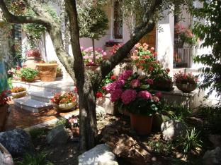 camere america bandb