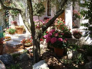 camere america bandb