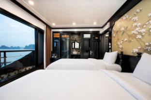 dragon bay cruise