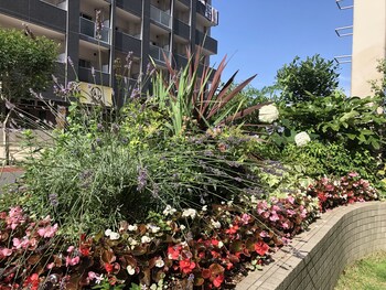 toyoko inn kenkyu gakuen ekimae